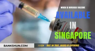 Singapore's Novavax Vaccine Rollout: What You Need to Know