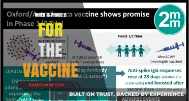 Vaccine Phase 2: Timeline and Expectations for the Next Stage