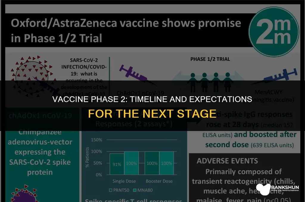 when is phase 2 for the vaccine