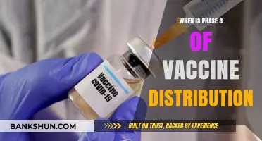 Vaccine Rollout: When Will Phase 3 Distribution Begin?