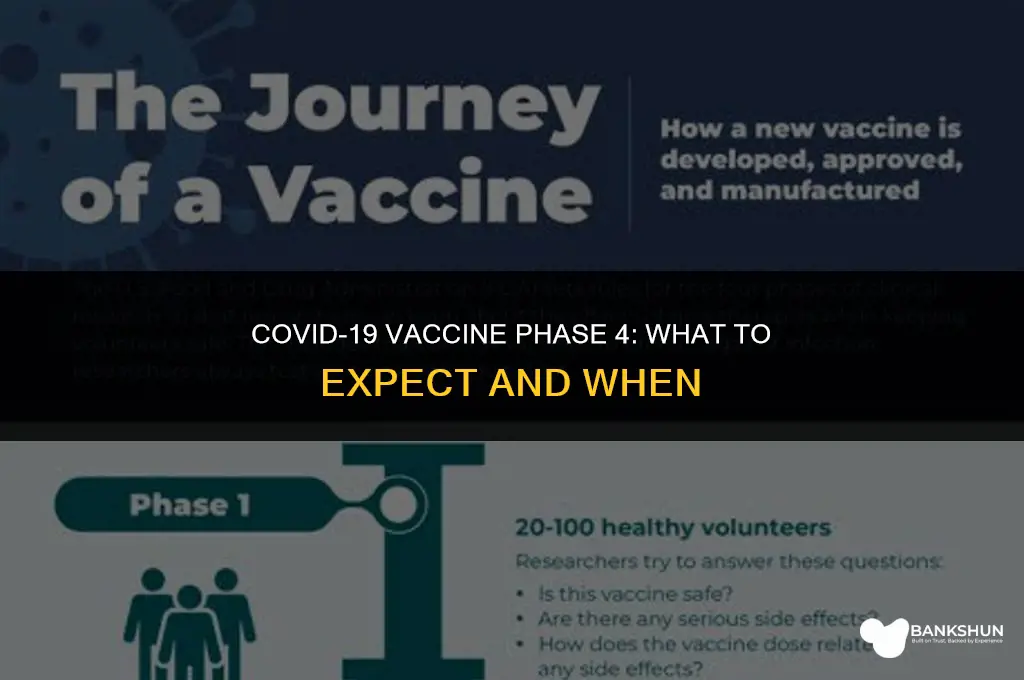 when is phase 4 of the vaccine