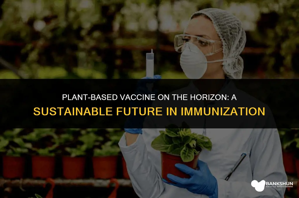 when is plant based vaccine coming out