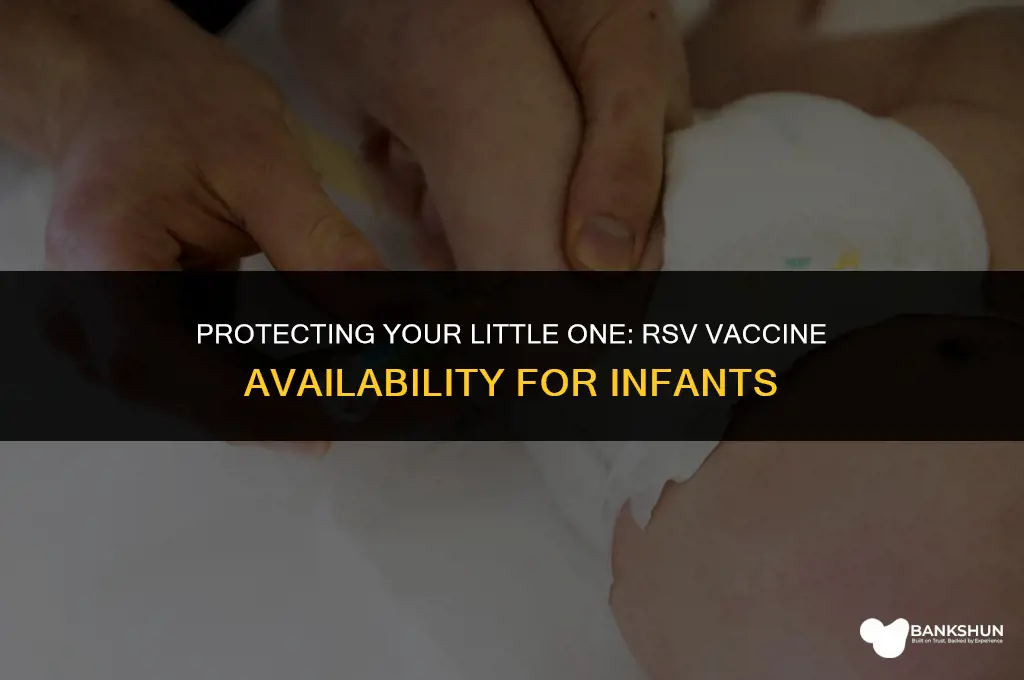 when is rsv vaccine available for babies