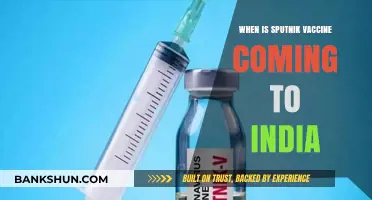 Sputnik Vaccine's Arrival in India: What We Know So Far
