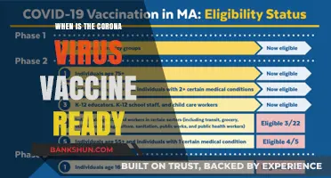 Hope on the Horizon: The Anticipated Arrival of the Coronavirus Vaccine