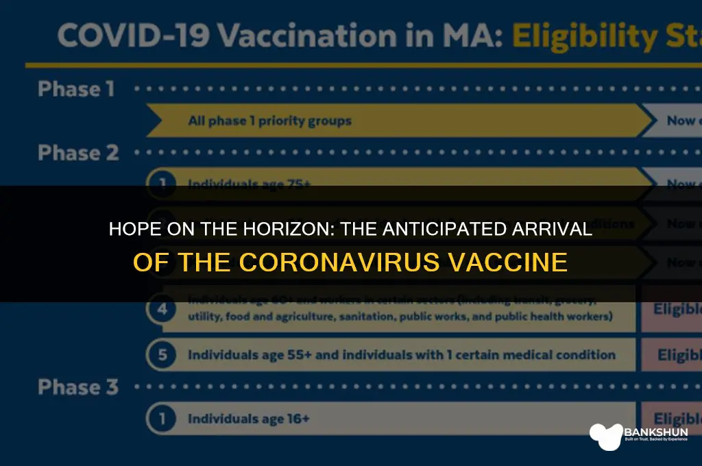 when is the corona virus vaccine ready