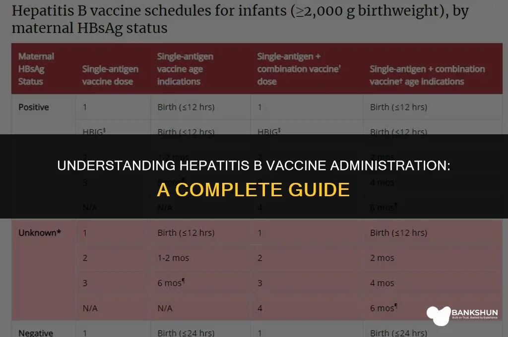when is the hepatitis b vaccine administered