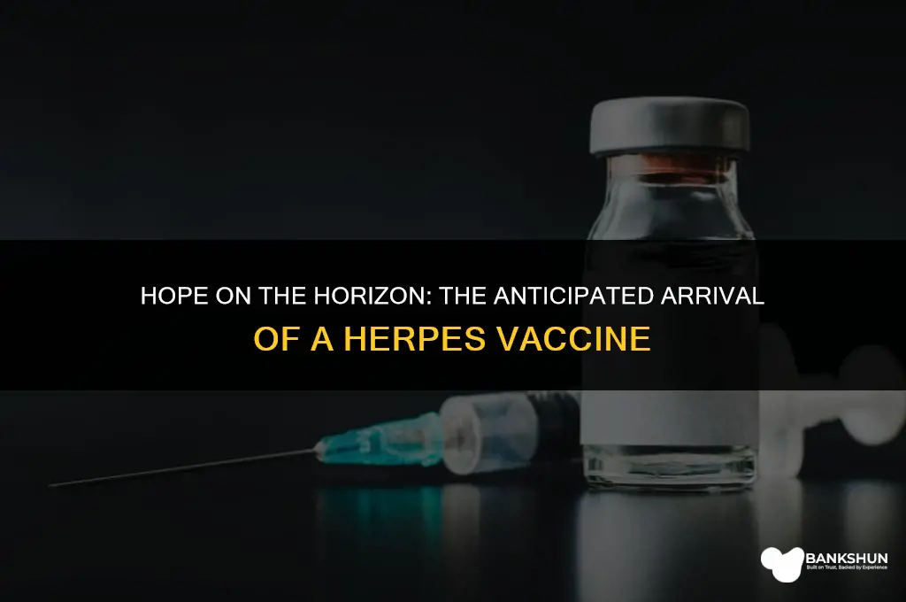 when is the herpes vaccine coming out