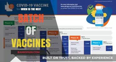 Vaccine Rollout: When to Expect the Next Batch
