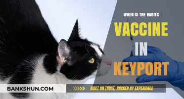 Rabies Vaccine Availability in Keyport: Stay Informed and Protected