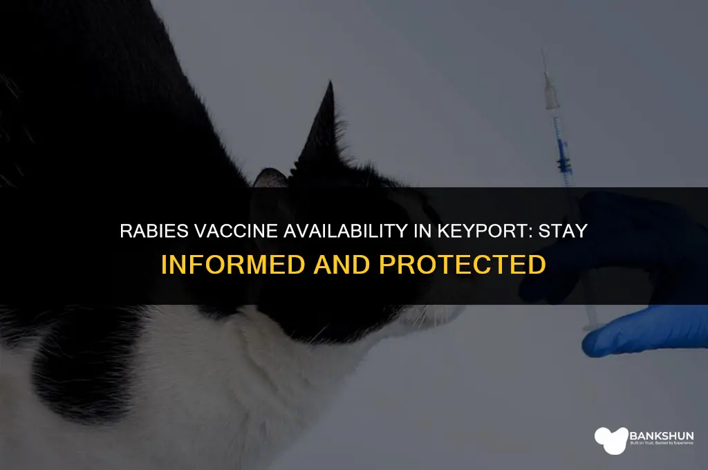 when is the rabies vaccine in keyport