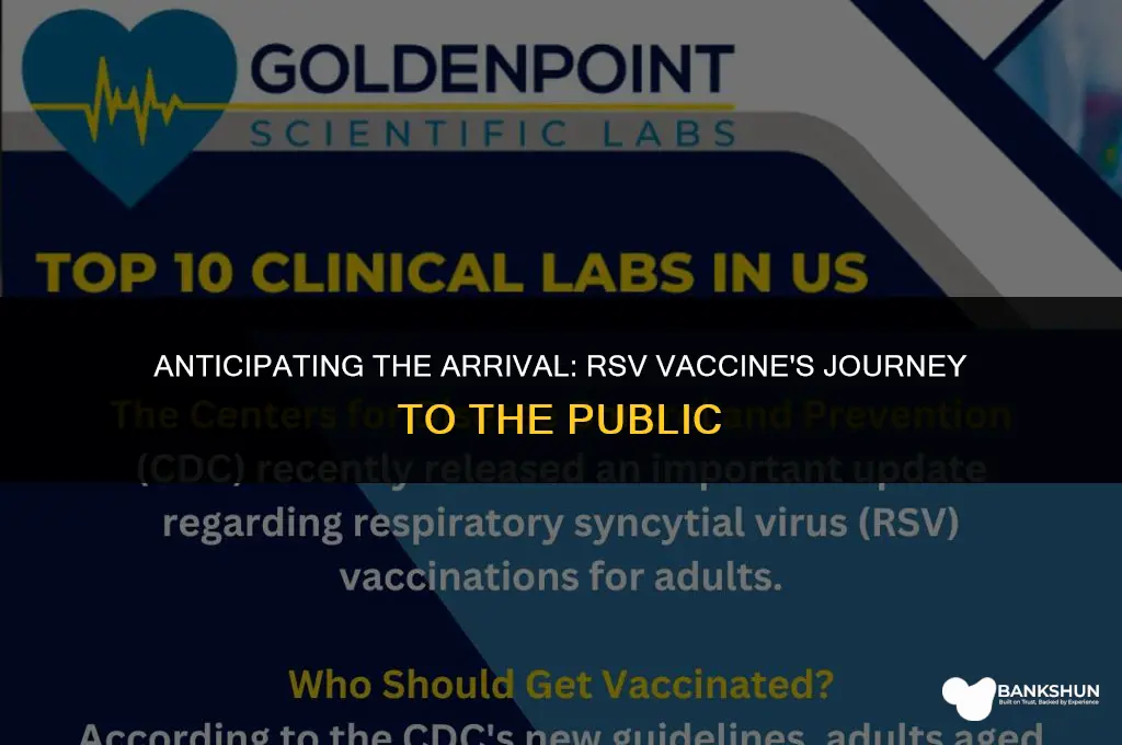 when is the rsv vaccine coming out