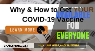 Universal Vaccine Access: Timeline and Global Distribution Insights