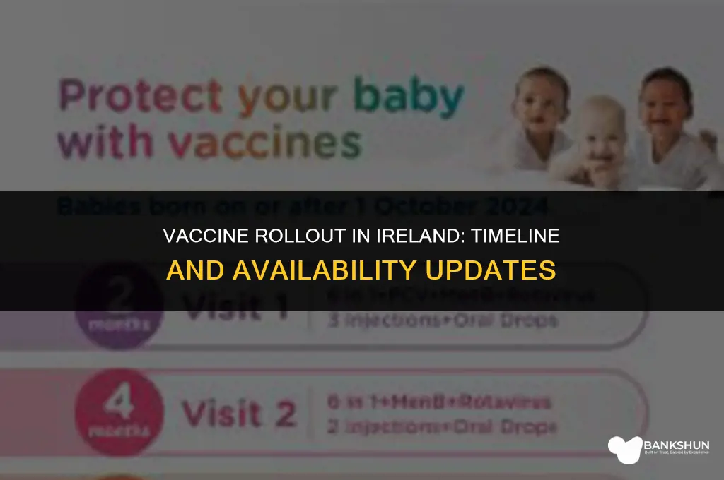 when is the vaccine available in ireland
