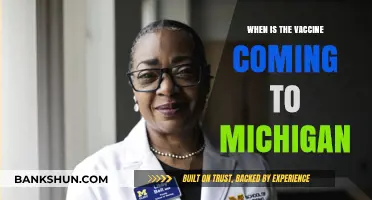 Michigan's Vaccine Rollout: Timelines and Updates