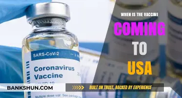 Anticipating the Arrival: COVID-19 Vaccine Rollout in the USA