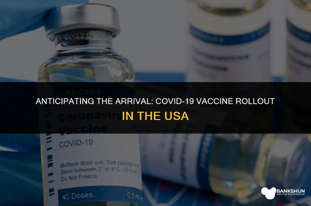 when is the vaccine coming to usa