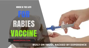 Is It Ever Too Late for a Rabies Vaccine? Expert Insights