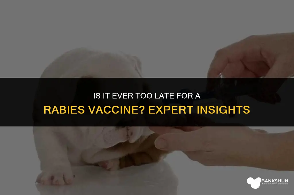 when is too late for rabies vaccine