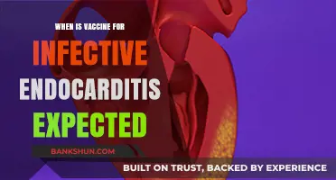 Anticipating the Arrival: Vaccine for Infective Endocarditis on the Horizon