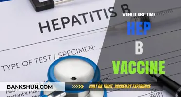 Optimizing Hepatitis B Vaccination: Timing and Essential Insights