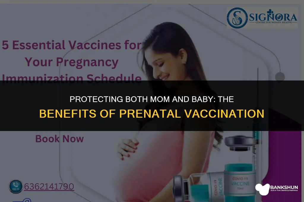 when mom receives a vaccine during pregnancy
