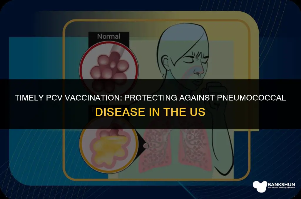 when receive pcv vaccine in the us