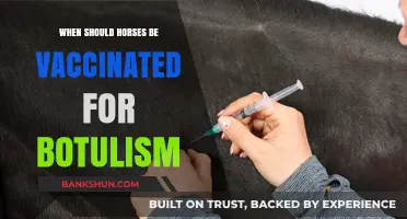 Protecting Equine Health: A Guide to Botulism Vaccination Timing