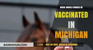 Michigan Equine Vaccination Schedule: Protecting Your Horse's Health