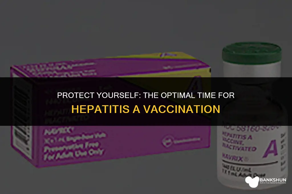 when should i have hepatitis a vaccine