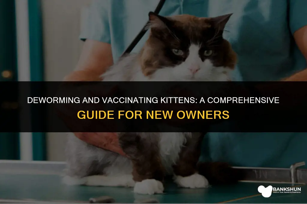 when should kittens be dewormed and vaccinated