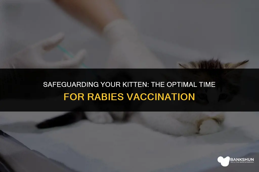 when should kittens be vaccinated against rabies
