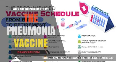 Optimal Timing for Pneumonia Vaccination: A Patient's Guide