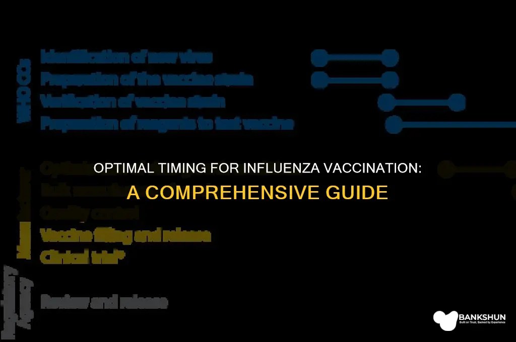 when should you begin providing influenza vaccine