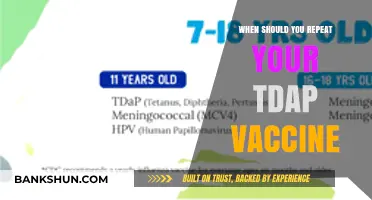 Boosting Immunity: When to Schedule Your Next Tdap Vaccine