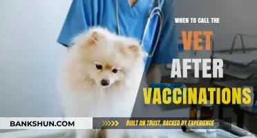 Post-Vaccination Pet Care: When to Seek Veterinary Attention