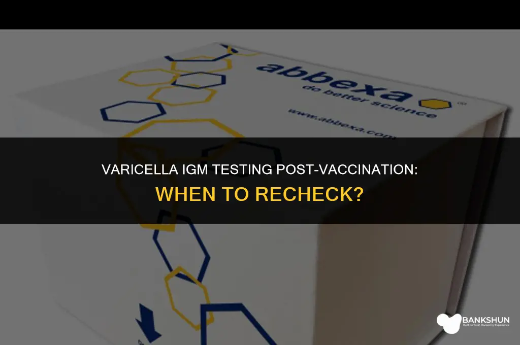 when to recheck varicella igm after vaccination