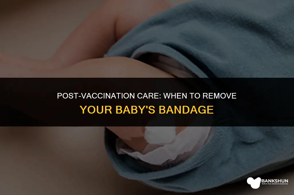 when to remove bandage after baby vaccination