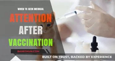 Post-Vaccination Symptoms: When to Worry and When to Wait