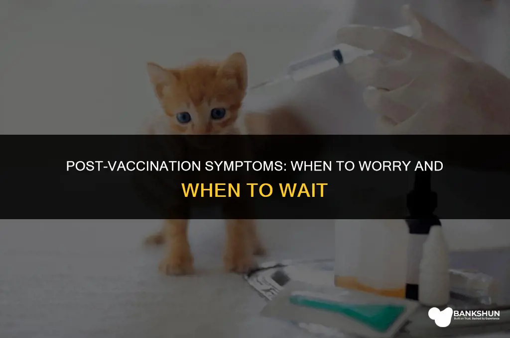 when to seek medical attention after vaccination