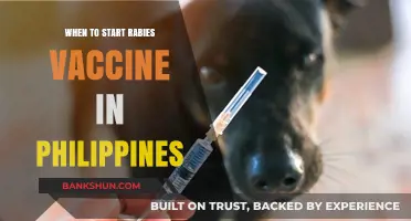 Rabies Vaccine Schedule: A Comprehensive Guide for the Philippines
