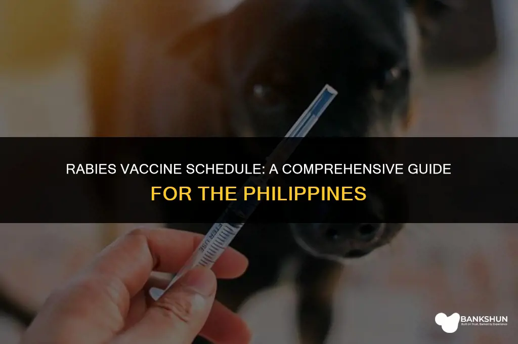 when to start rabies vaccine in philippines
