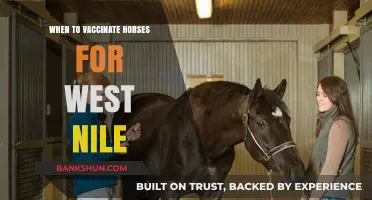 Protecting Your Horse: The Optimal Timing for West Nile Vaccination