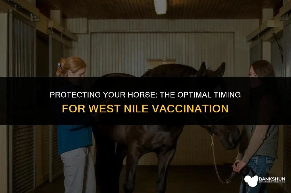 when to vaccinate horses for west nile