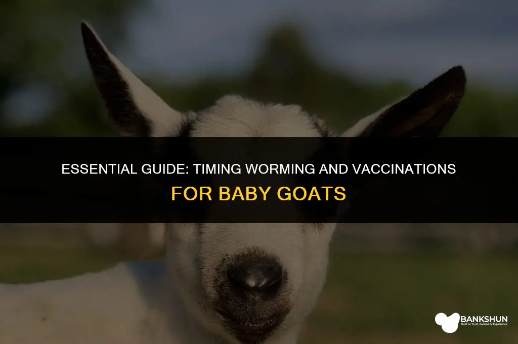 when to worm and vaccinate baby goats