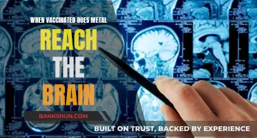 Exploring the Myth: Can Vaccines Cause Metal to Reach the Brain?