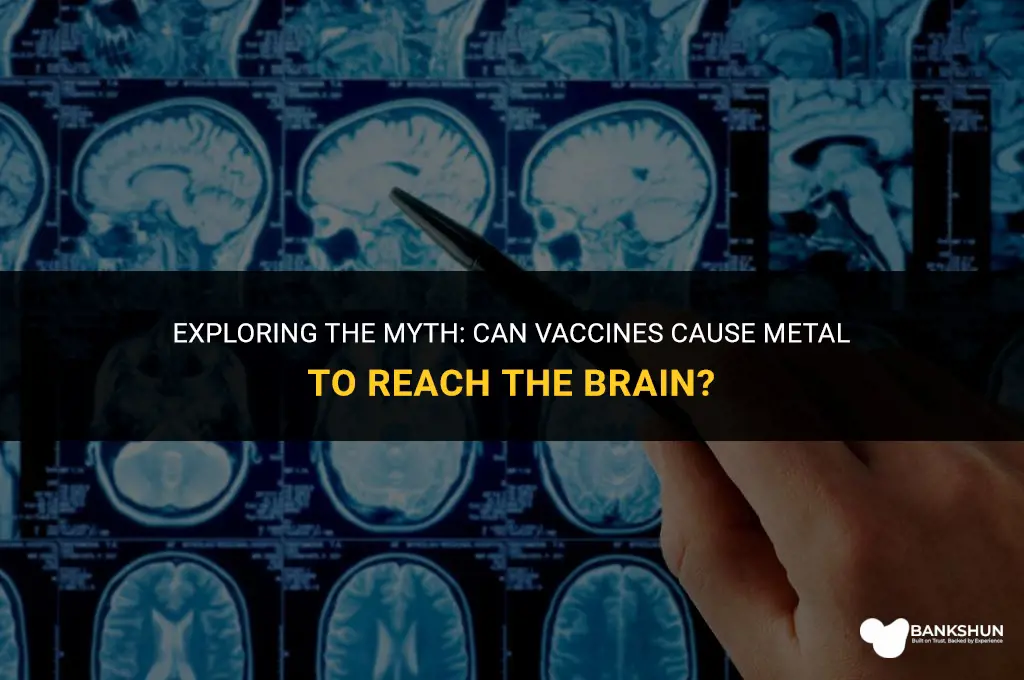 when vaccinated does metal reach the brain