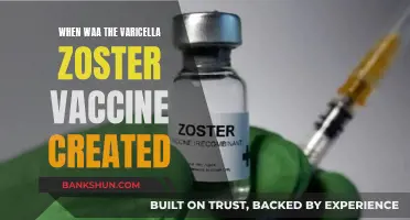 Unveiling the History: Development of the Varicella Zoster Vaccine