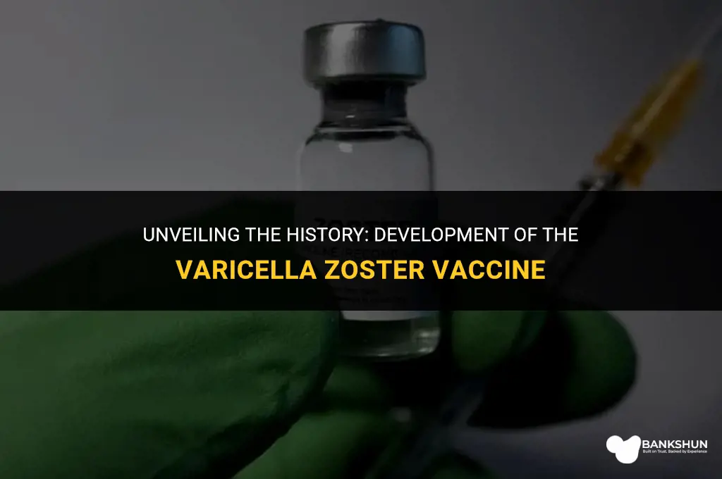when waa the varicella zoster vaccine created