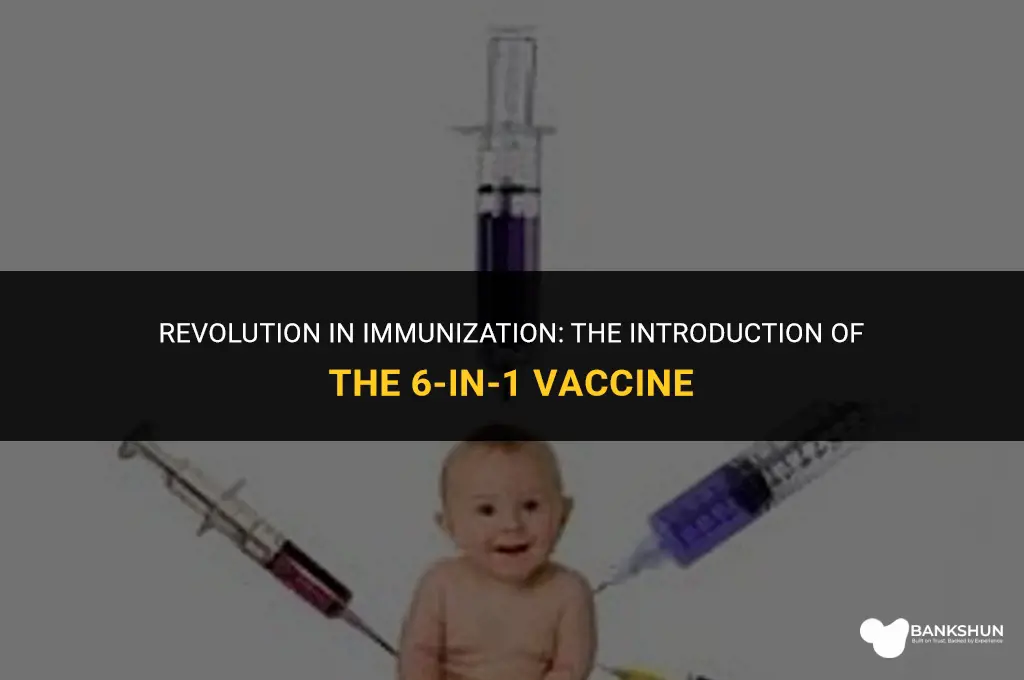 when was 6 in 1 vaccine introduced